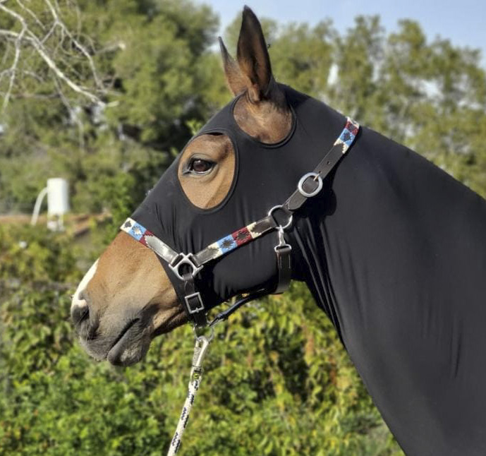 Polo Halter